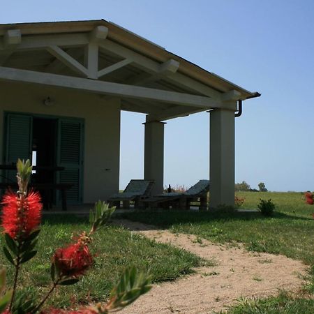 Agriturismo Podere 678 Grosseto Exteriör bild