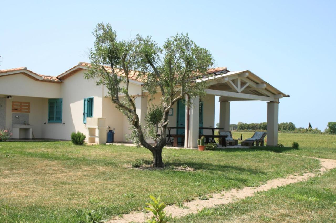 Agriturismo Podere 678 Grosseto Exteriör bild
