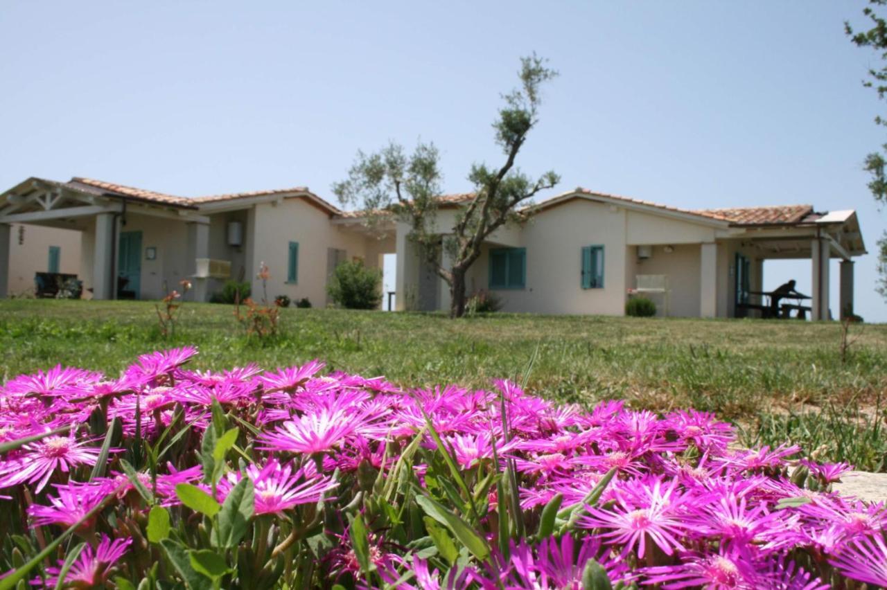Agriturismo Podere 678 Grosseto Exteriör bild
